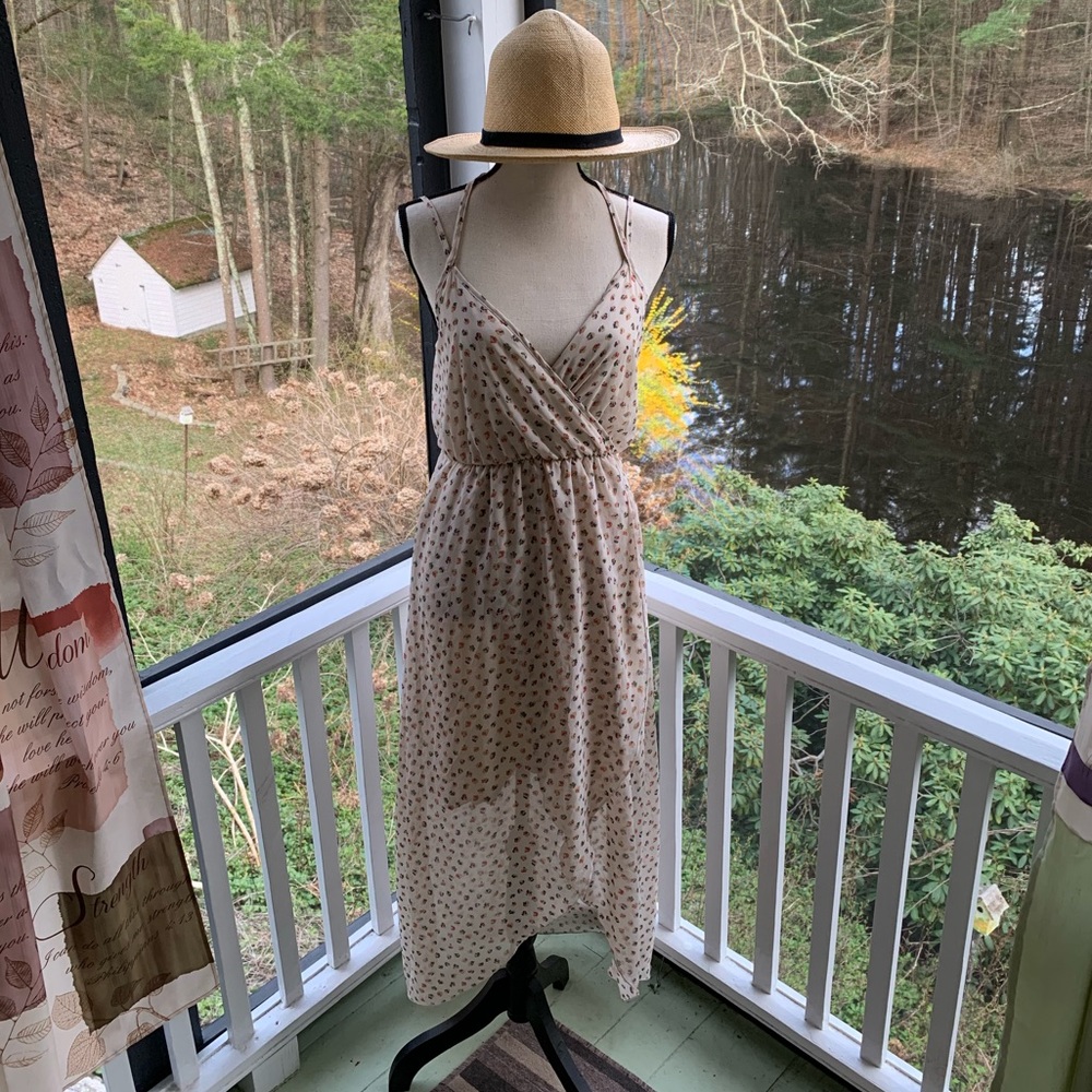 Willow & Clay anthropology